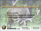 images/normal2/Adv 2 Kamphuis.jpg